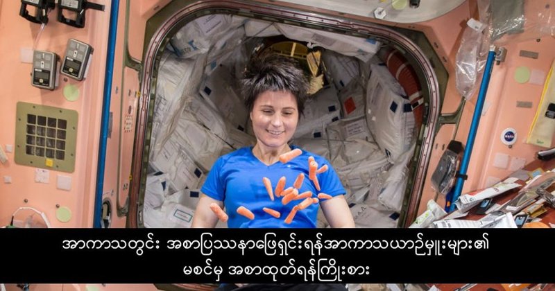 သိပ္ပံပညာရှင်များက အာကာသယာဉ်မှုးများ၏ မစင်မှ အစာထုတ်ရန် သုတေသနပြု