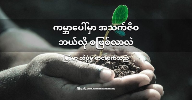 ကမ္ဘာပေါ်မှာ အသက်ဇီဝ ဘယ်လို စဖြစ်လာလဲ