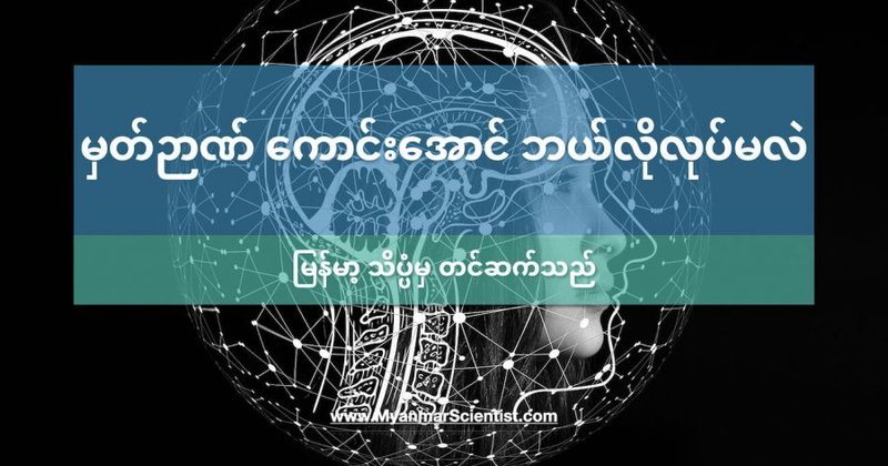မှတ်ဉာဏ် ကောင်းအောင် ဘယ်လိုလုပ်မလဲ