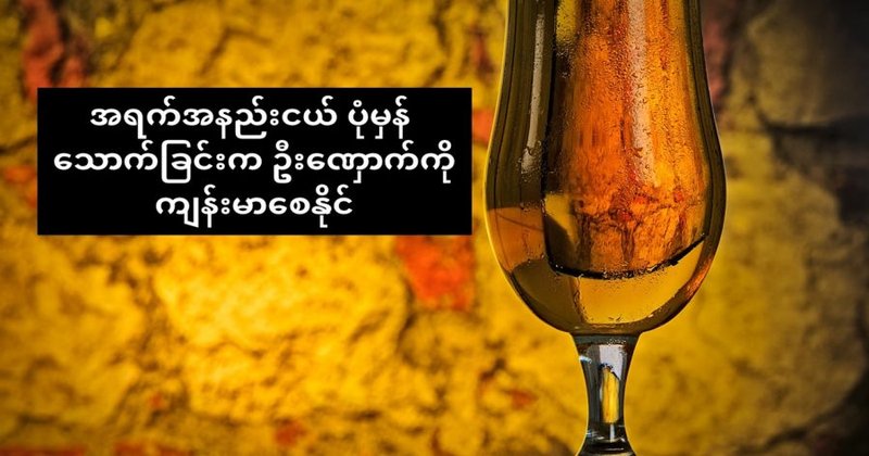 အရက်အနည်းငယ် သောက်သုံးခြင်းသည် ဦးဏှောက်ဆဲလ်များကို သန့်ရှင်းစေနိုင်