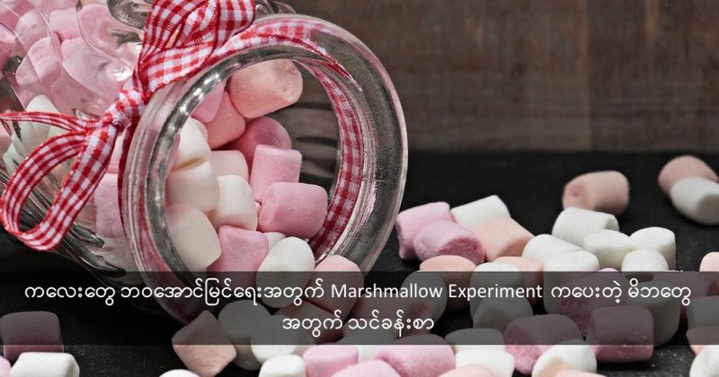 ကလေးတွေ ဘဝအောင်မြင်ရေးအတွက် Marshmallow Experiment ကပေးတဲ့ မိဘတွေအတွက် သင်ခန်းစာ