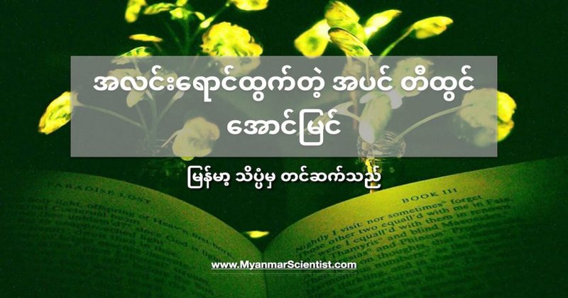 အလင်းရောင်ထွက်တဲ့ အပင် တီထွင်အောင်မြင်