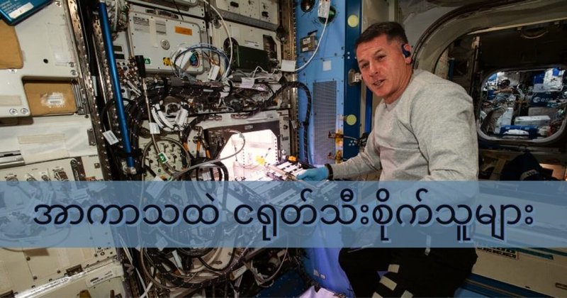 အာကာသထဲ ငရုတ်သီးစိုက်သူများ