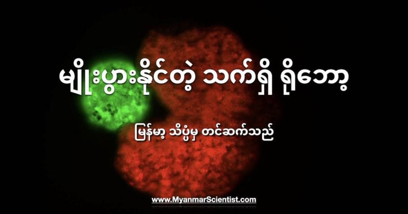 မျိုးပွားနိုင်တဲ့ သက်ရှိ ရိုဘော့ စမ်းသပ်အောင်မြင်