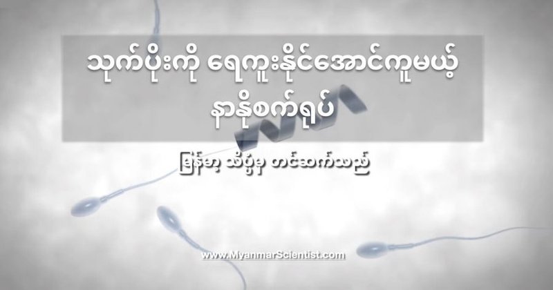 သုက်ပိုးကို ရေကူးနိုင်အောင်ကူမယ့် နာနိုစက်ရုပ်