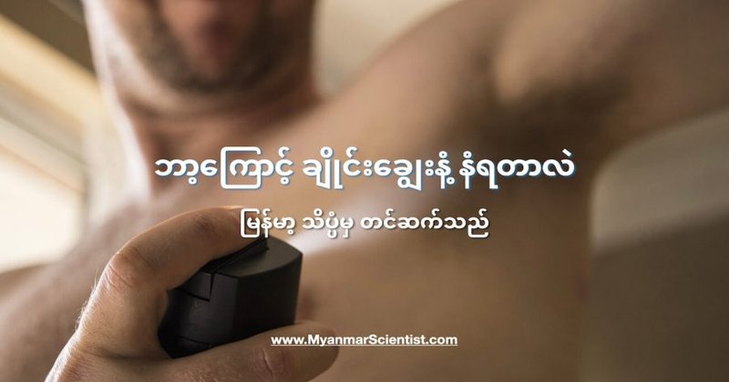 ဘာ့ကြောင့် ချိုင်းချွေးနံ့ နံရတာလဲ