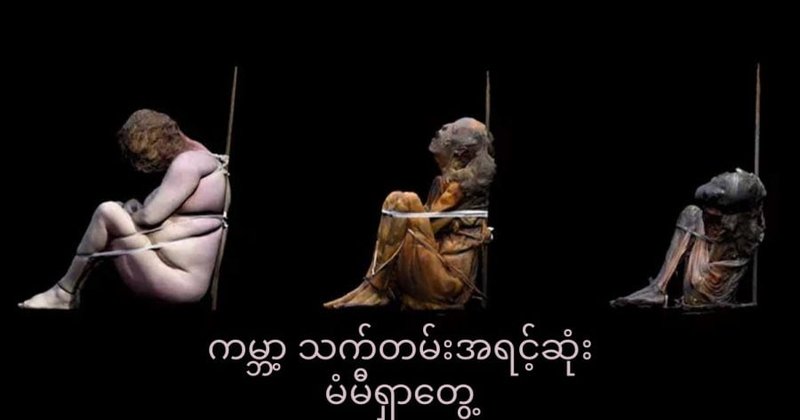 သက်တမ်းအရင့်ဆုံး မံမီ ရှာဖွေတွေ့ရှိ