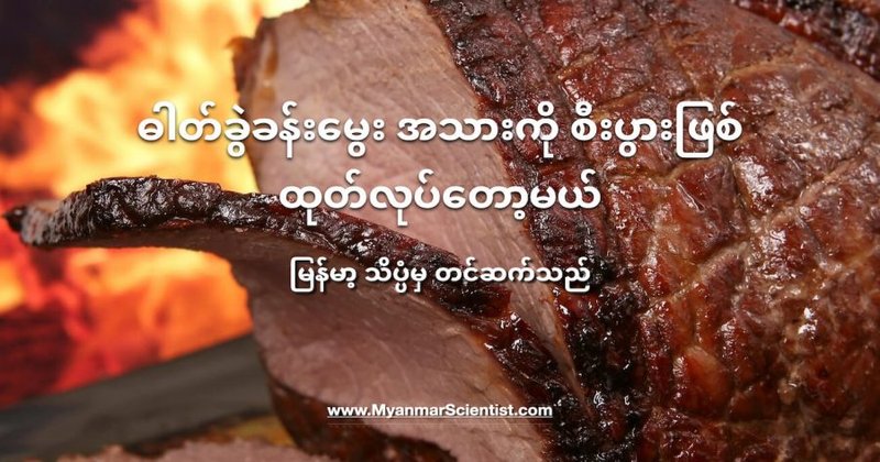 ဓါတ်ခွဲခန်းမွေး အသားကို စီးပွားဖြစ် ထုတ်လုပ်မယ့် အစ္စရေး