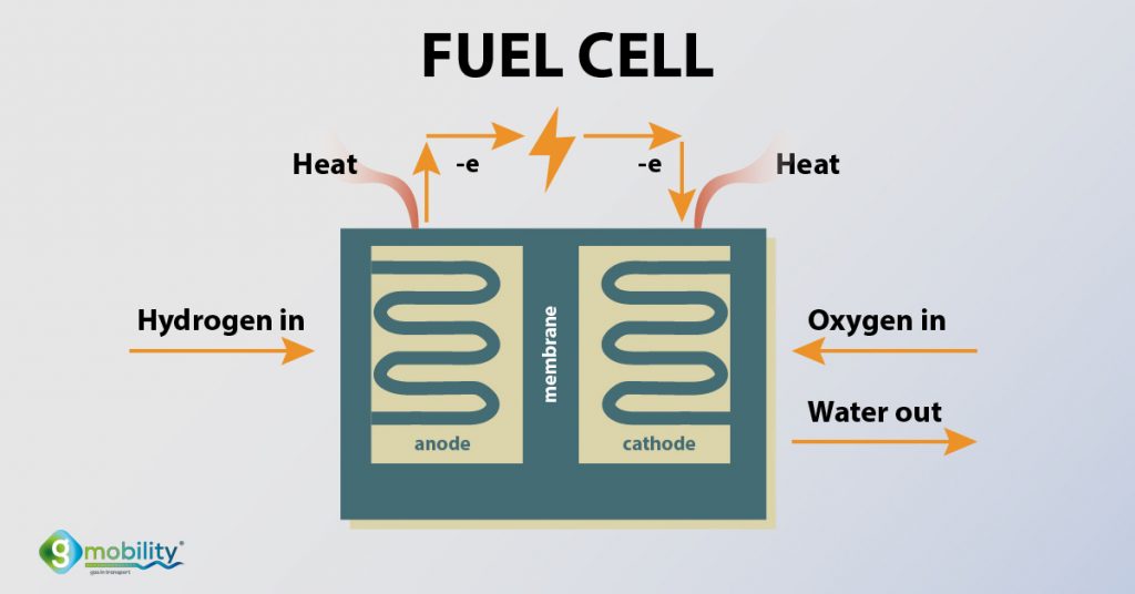 Fuel Cell အတွင်းမှာ အမဖက်က ဟိုက်ဒရိုဂျင် ဓါတ်ငွေ့သွင်းလိုက်ပြီး အဖိုဖက်က အောက်ဆီဂျင်ဓါတ်ငွေ့ သွင်းပေးပါတယ်