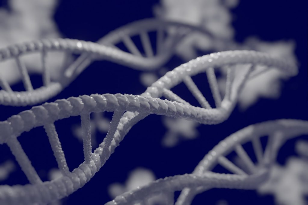 ကမ္ဘာ့ ပထမဆုံး DNA မော်လီကျူးတွေကို RNA က ထုတ်ပေးတယ်လို့ ဆိုပါတယ်